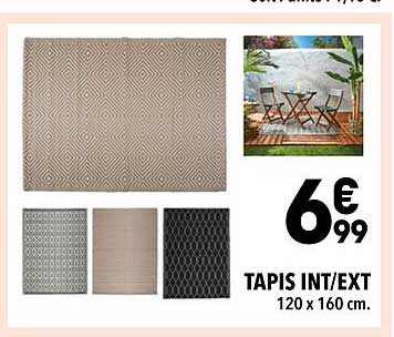 tapis int/ext 120 x 160 cm