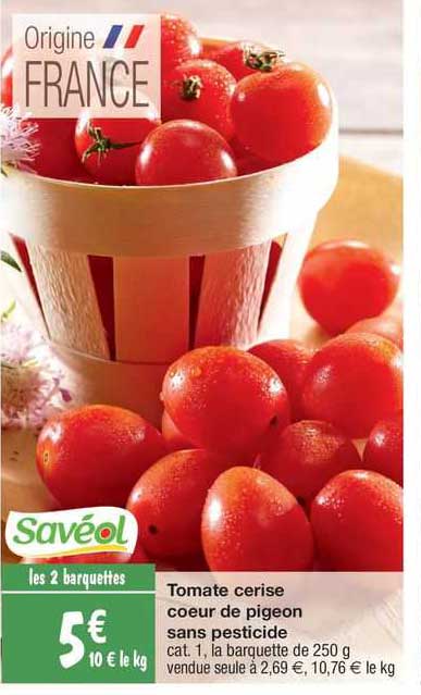 tomate cerise cœur de pigeon sans pesticide
