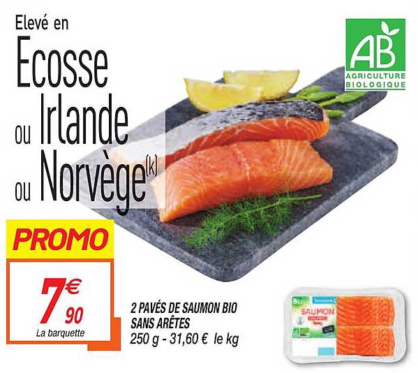 2 pavés de saumon bio sans arêtes