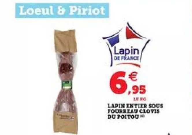 lapin entier sous fourreau clovis du poitou