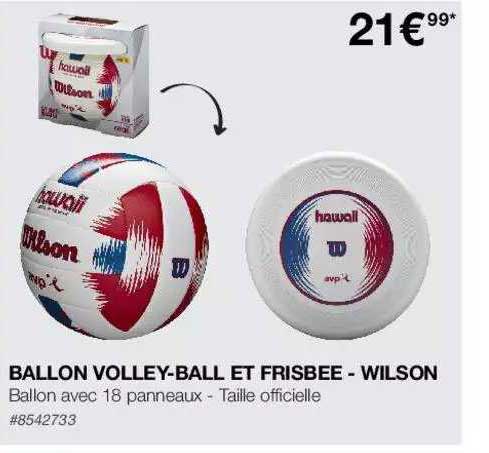 ballon volley-ball et frisbee - wilson