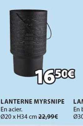 Lanterne Myrsnipe