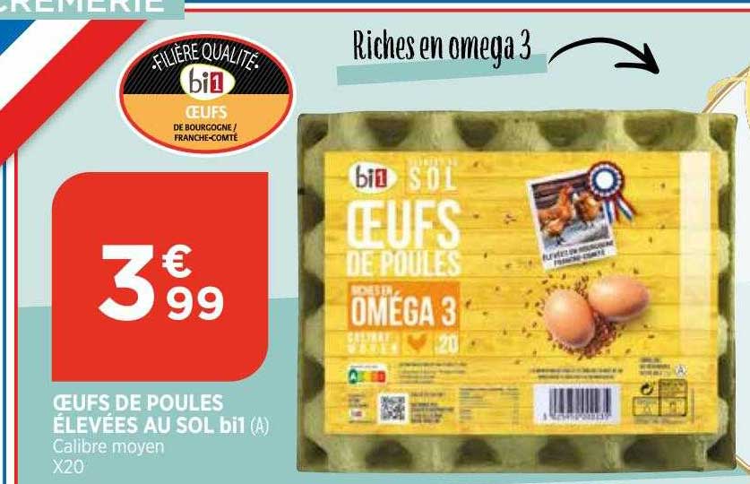 oeufs de poules élevées au sol bi1