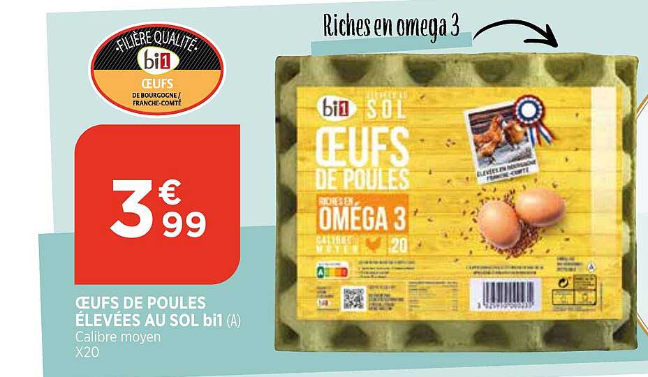 oeufs de poules élevées au sol bi1