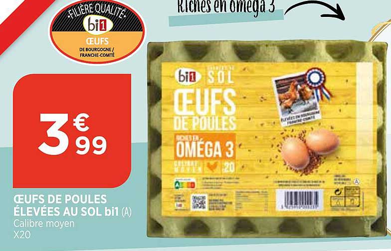 oeufs de poules élevées au sol bi1
