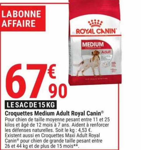 croquettes medium adult royal canin