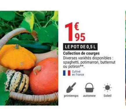 Collection De Courges