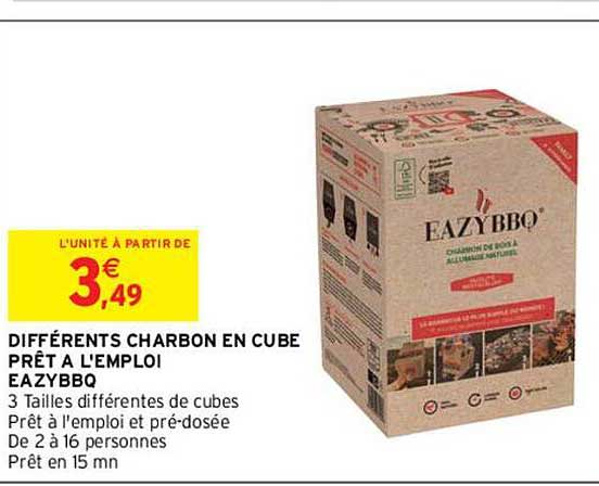 différents charbon en cube prêt à l'emploi eazybbq