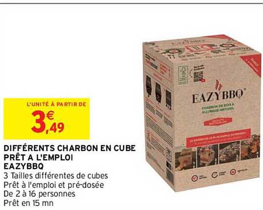 différents charbon en cube prêt à l'emploi eazybbq