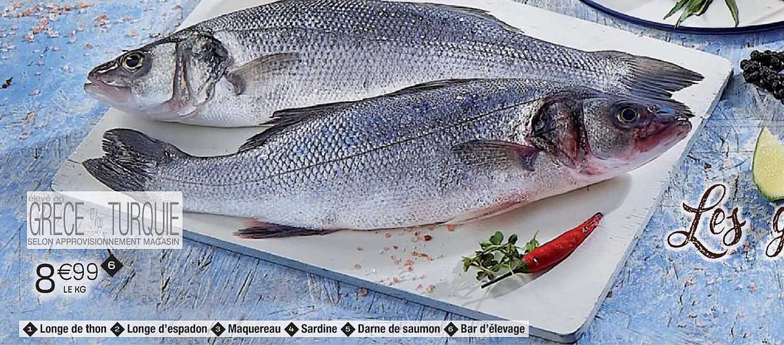 longe de thon, longe d'espadon, maquereau, sardine, darne de saumon, bar d'élevage