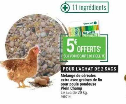 mélange de céréales extra avec graines de lin pour poule pondeuse plein champ