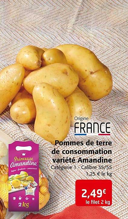 pommes de terre de consommation variété amandine
