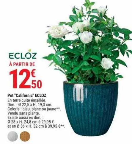 Pot "california" Ecloz