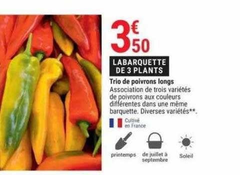 trio de poivrons longs