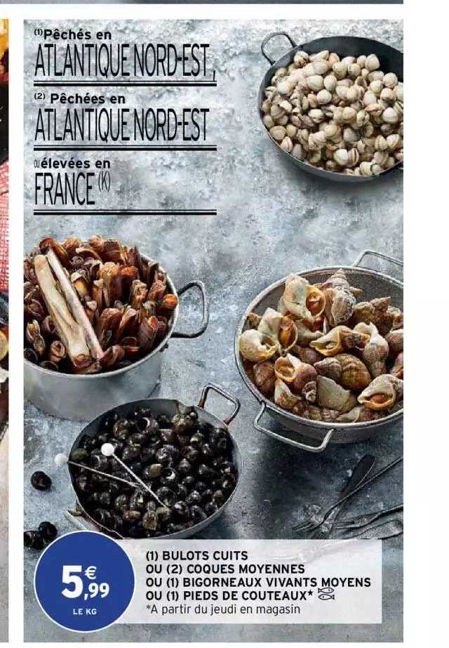 bulots cuits ou coques moyennes ou bigorneaux vivants moyens ou pieds de couteaux