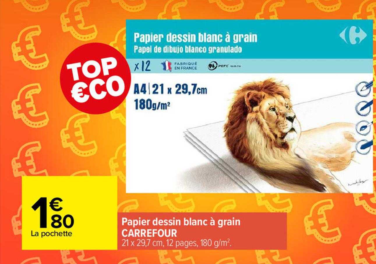 Papier Dessin Blanc à Grain Carrefour