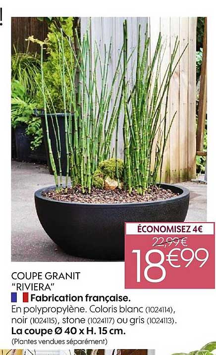 Coupe Granit "riviera"