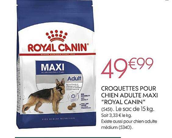 croquettes pour chien adulte maxi "royal canin"