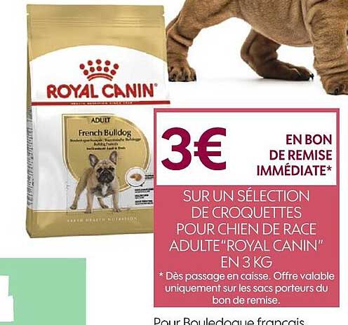 croquettes pour chien de race adulte "royal canin" en 3 kg