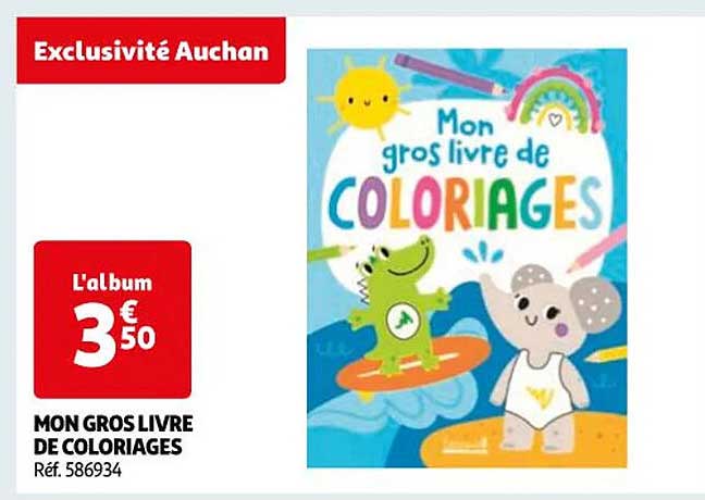 mon gros livre de coloriages