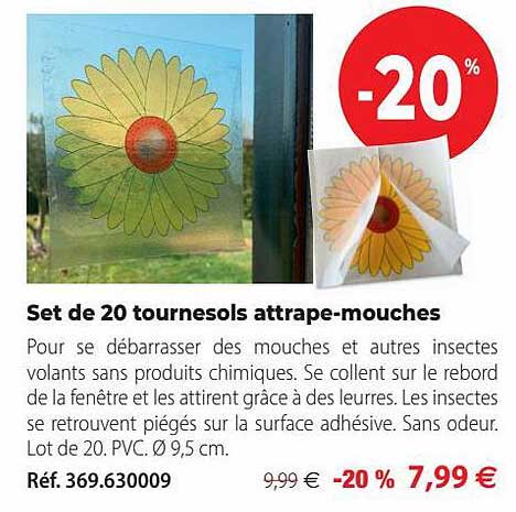 set de 20 tournesols attrape-mouches