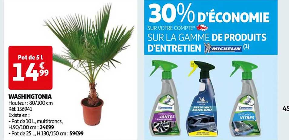 washingtonia, la gamme de produits d'entretien michelin