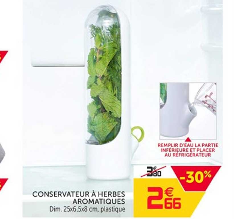 conservateur à herbe aromatiques