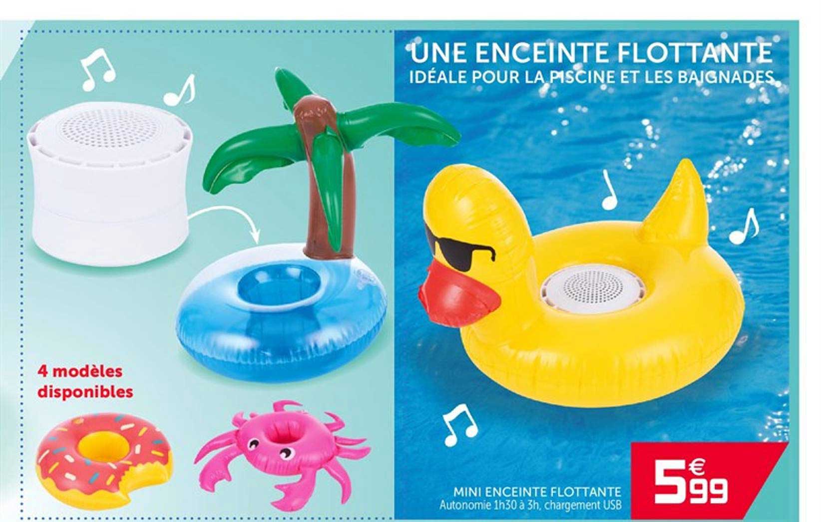 mini enceinte flottante
