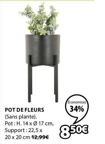Pot De Fleurs