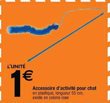 accessoire d'activité pour chat