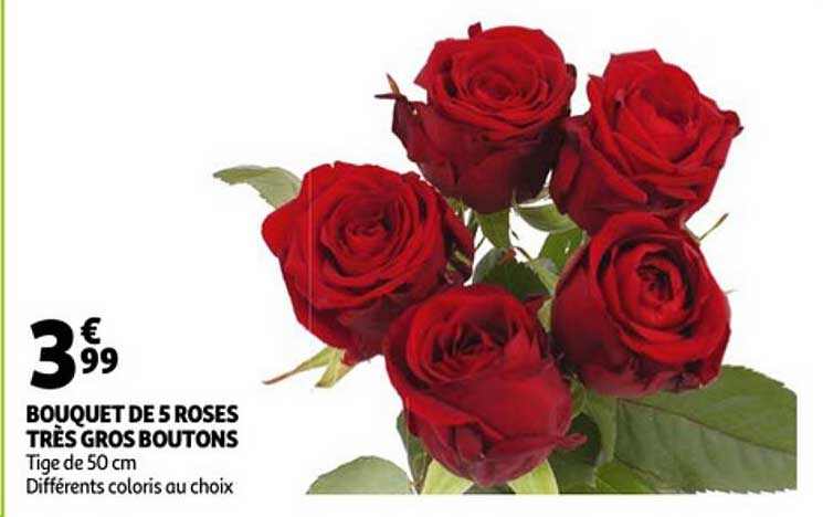 bouqet de 5 roses très gros boutons