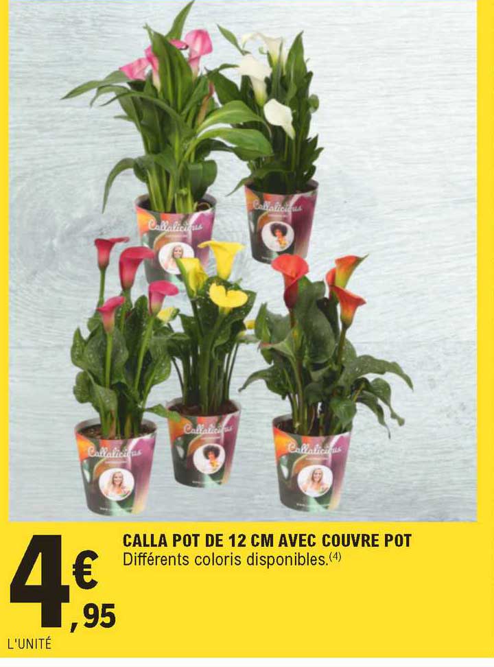 calla pot de 12 cm avec couvre pot