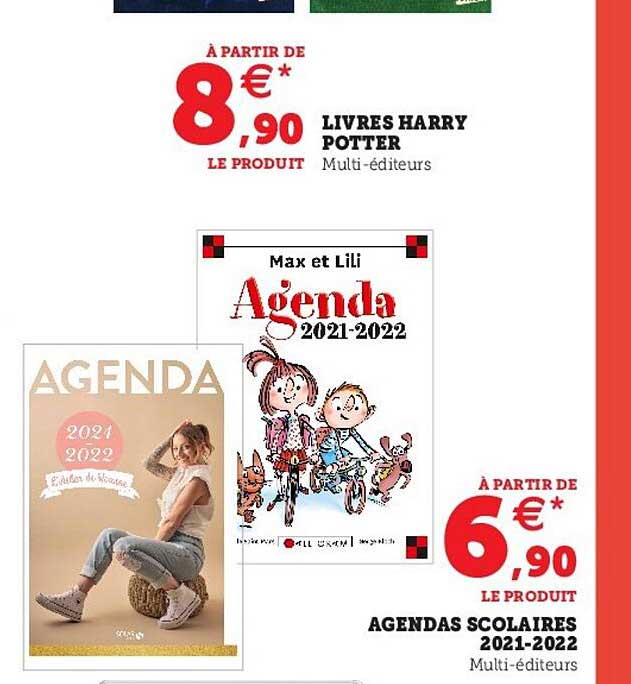 livre harry potter agendas scolaires 2021-2022