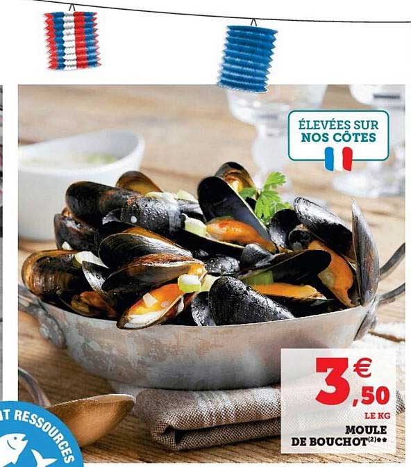 Moule De Bouchon