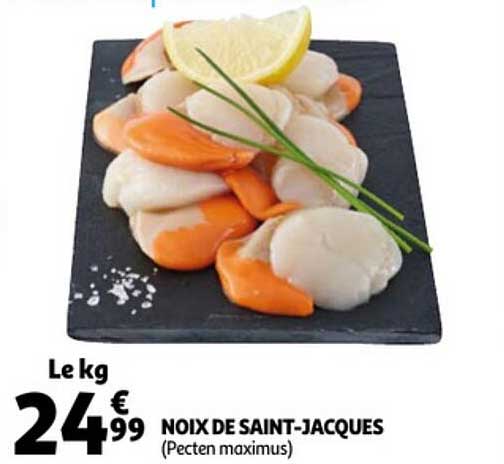 noix de saint-jacques