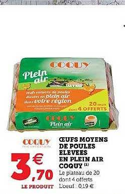 oeufs moyens de poules élevées en plein air coquy