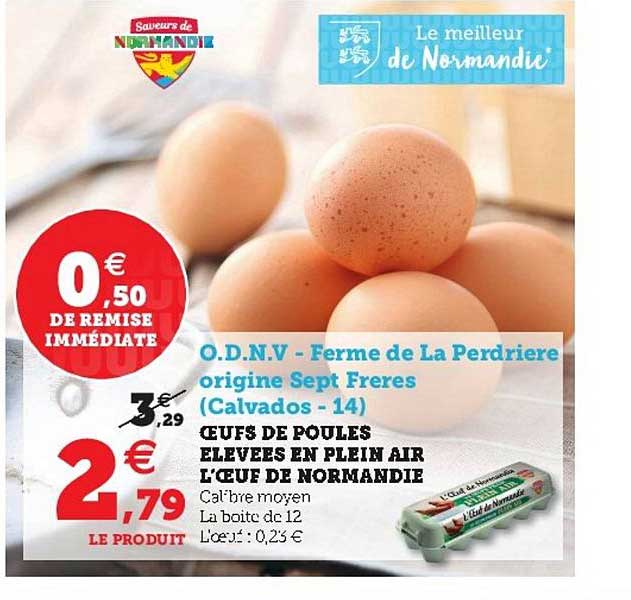 œufs de poules élevées en plein air l’œuf de normandie