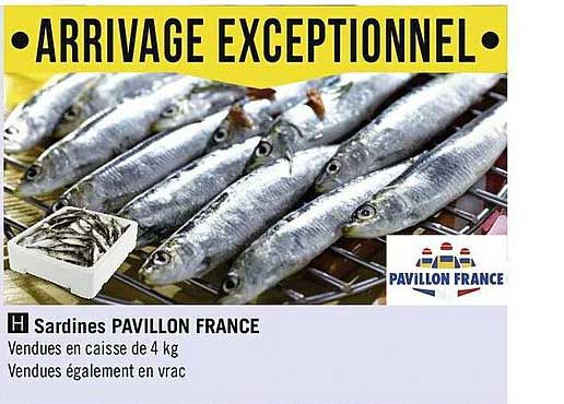 sardines pavillon france
