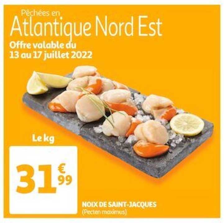 noix de saint-jacques