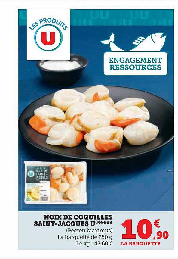 noix de coquilles saint-jacques u