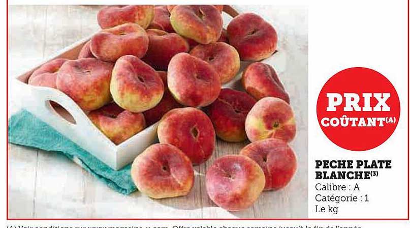 Pêche Plate Blanche