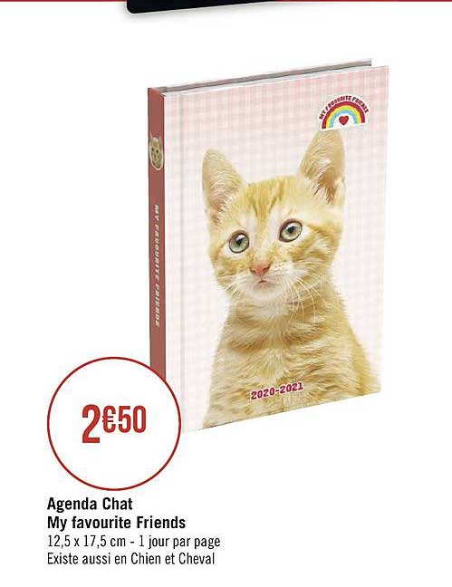 Agenda Chat My Favourite Friends