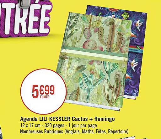 agenda lili kessler cactus + flamingo