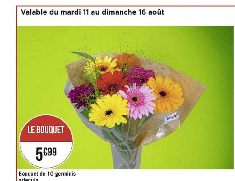 bouquet de 10 germinis arlequin
