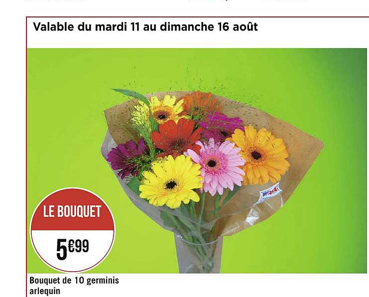 bouquet de 10 germinis arlequin