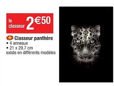 classeur panthère