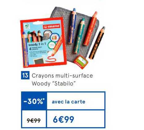 Crayons Multi Surface Woody Stabilo