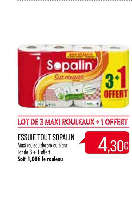 essuie tout sopalin +1 offert