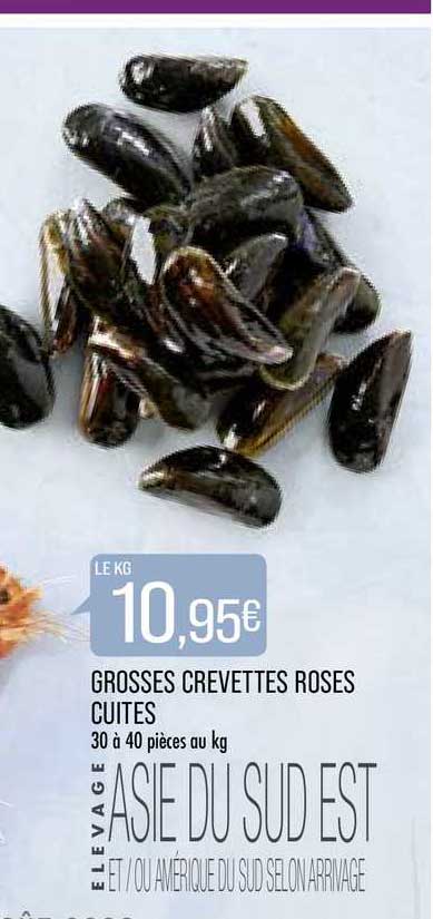 grosses crevettes roses cuites