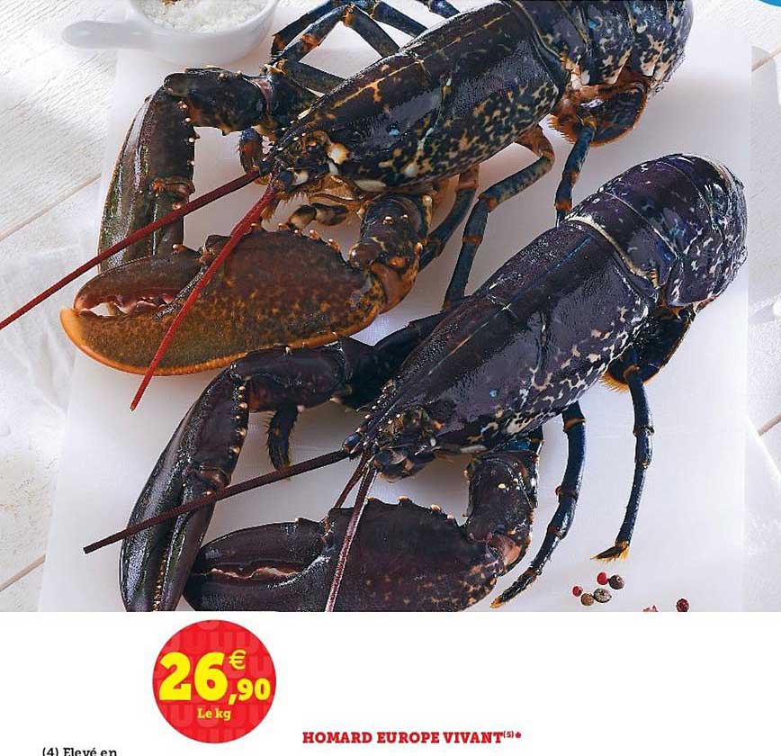 homard europe vivant